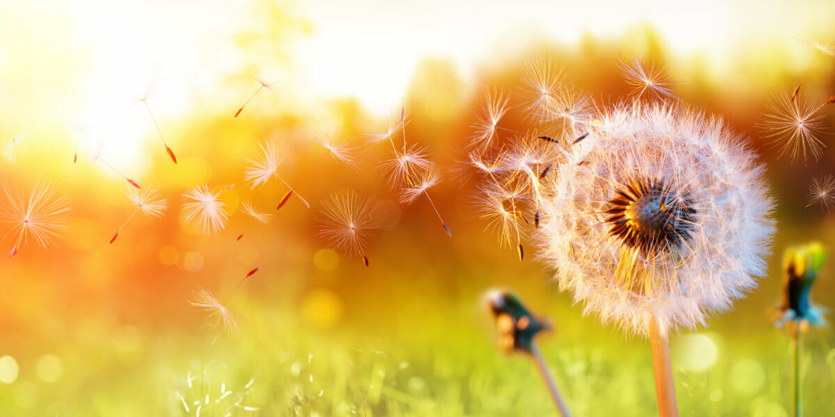 NH3_1200x600