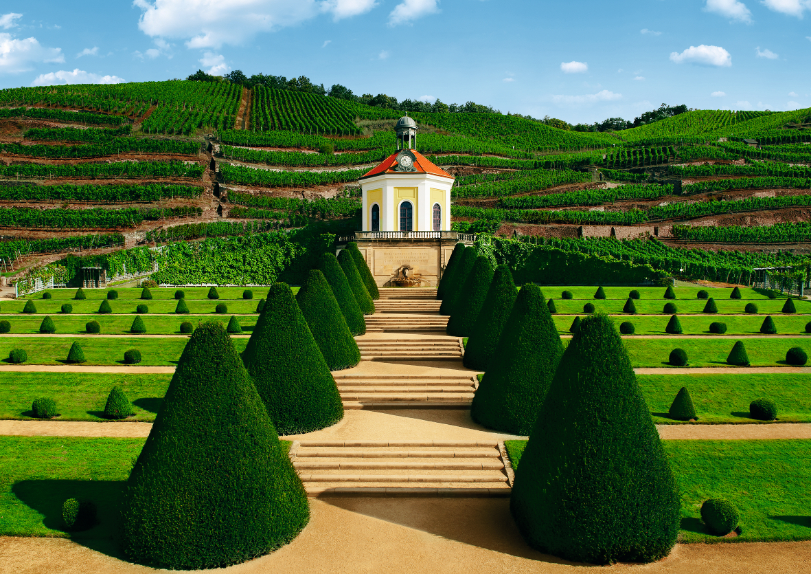 Belvedere@Schloss Wackerbarth
