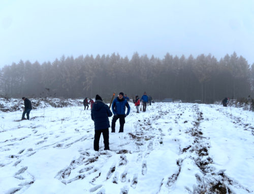 Pflanzaktion „Wald für Sachsen“