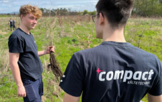 Engagement für Waldaufforstung